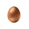 A brown bird egg with a fine speckled texture. For design, textiles, booklets, banners, stickers. Digital illustration