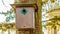 Brown birdhouse hanging on a trunk of a tree with a blurred background