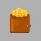 Brown bitcoin wallet with cash gold coins. Isolated vector illustration.
