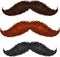 Brown, black and ginger isolated mustaches set