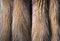 Brown and black natural fur background texture design  orange animal fell