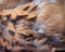 Brown with black and white nature feathers of sparrow bird texture for background