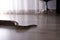 Brown boa constrictor crawling on floor