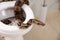 Brown boa constrictor on toilet bowl in bathroom