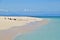 Brown Booby and Crested Tern birds at Michaelmas Cay with beautiful fine white sand and turquoise blue water