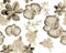 Brown Botanical Garden. Gray Orchid Set. Colorless Hibiscus Garden. Flower Plant. Watercolor Garden. Seamless Decor. Pattern Jungl