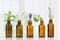 Brown Bottles of essential oil with fresh herbs