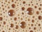 Brown and bright coffee foam texture