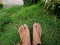 Brown brown feet step on green grass