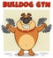 Brown Bulldog Cartoon Mascot Character With Sunglasses Working Out With Dumbbells