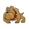 Brown bulldog vector illustration