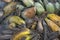 brown butterfly perching on a pile of the decomposed bananas fruits.