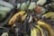 brown butterfly perching on a pile of the decomposed bananas fruits.