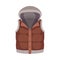 Brown Buttoned Vest with Hood as Male Clothing Item Vector Illustration