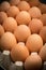 Brown cage-free chicken eggs