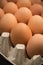 Brown cage-free chicken eggs