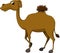 Brown camel cartoon