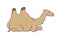 Brown camel lies, vector