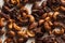 Brown Candied Caramelized Nuts