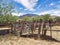 Brown Canyon Ranch near Sierra Vista, Arizona