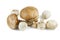 Brown cap boletus and champignons mushrooms isolated