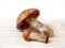 Brown cap boletus. Edible wild mushrooms on light wooden background.
