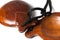 brown Castanets on white background