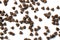 Brown cat food scattered on a white surface