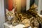 Brown cat sleeping on wooden table