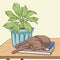 Brown cat sleeping on a wooden table vector Illustration