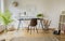 Brown chair at desk with plants and lamp in white workspace interior with carpet. Real photo