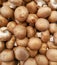 Brown champignons on the counter in the store