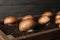 Brown champignons growing on soil in wooden crate. Mushrooms cultivation