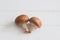 Brown champignons white background.