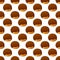 Brown Chestnut Seamless Pattern on White