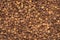 Brown chick pea background