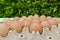 Brown chicken eggs in egg carton. Fresh chicken eggs background. Side view.