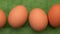 Brown chicken eggs on green textured paper