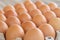 Brown chicken eggs are lined up in a tray. Many brown eggs are together in the tray