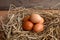 Brown chicken eggs on straw bird nest