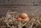 Brown chicken eggs on straw bird nest