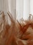 Brown chicken feather on white background with korean warm shadow  tone