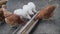 Brown chickens on the farm, selective focus. Domestic laying hens in the coop. Brown hens on a farm in winter