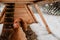 Brown chickens in home made chicken coup at the rural backyard,