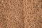 Brown cleaning feet doormat or carpet texture