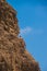 Brown cliff rock formation with ledge with seagull standing on ledge. Blue clear sky in background