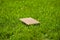 Brown closed notebook on green grass, side view