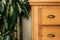 Brown closet with green house plant close-up background texture home interior