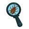 Brown cockroach under powerful magnifying glass isolated illustration