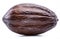 Brown cocoa pod isolated on a white background